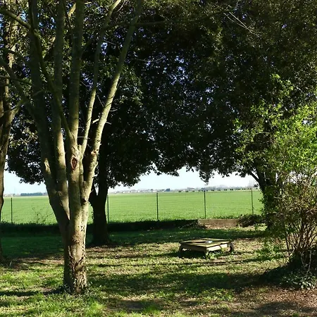 A Casa Di Leo * Ravenna